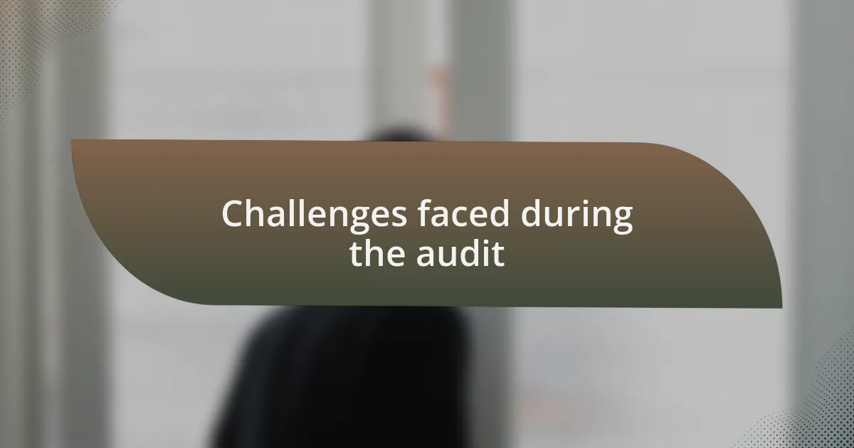 Challenges faced during the audit