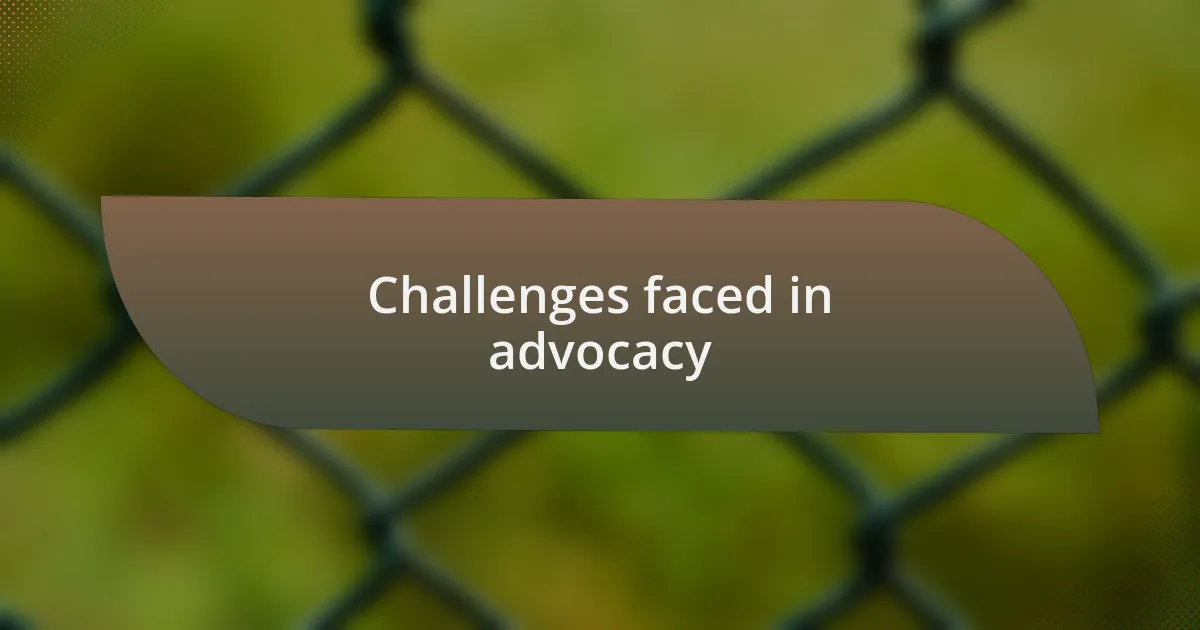 Challenges faced in advocacy