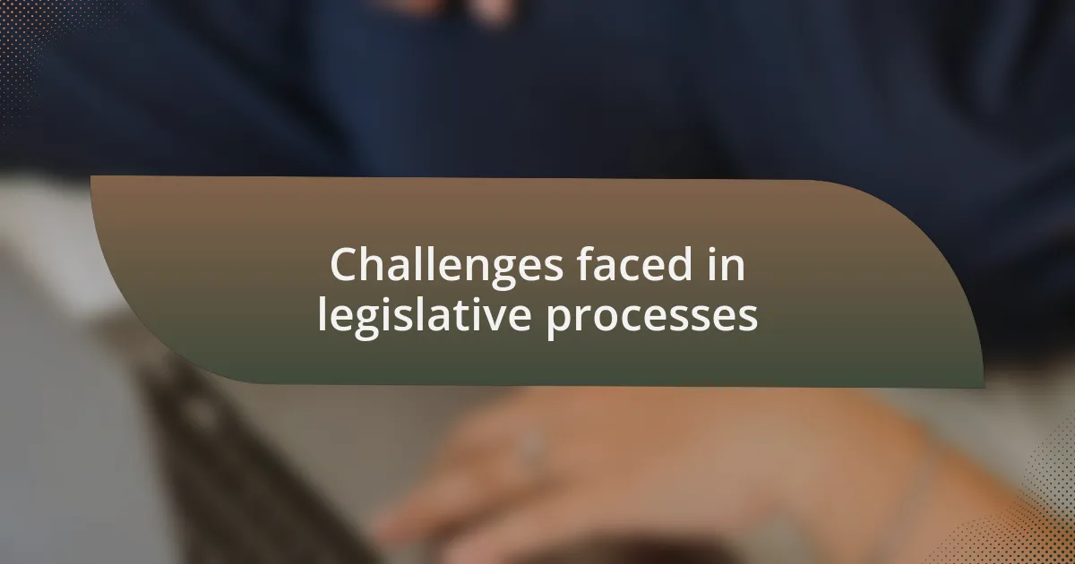 Challenges faced in legislative processes