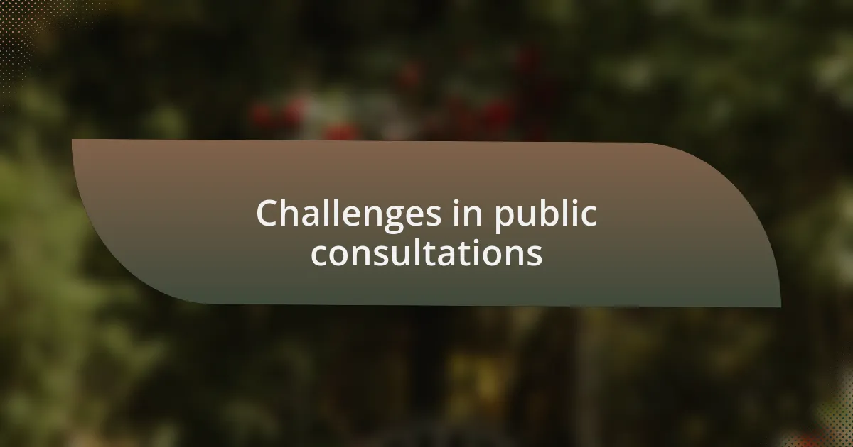 Challenges in public consultations