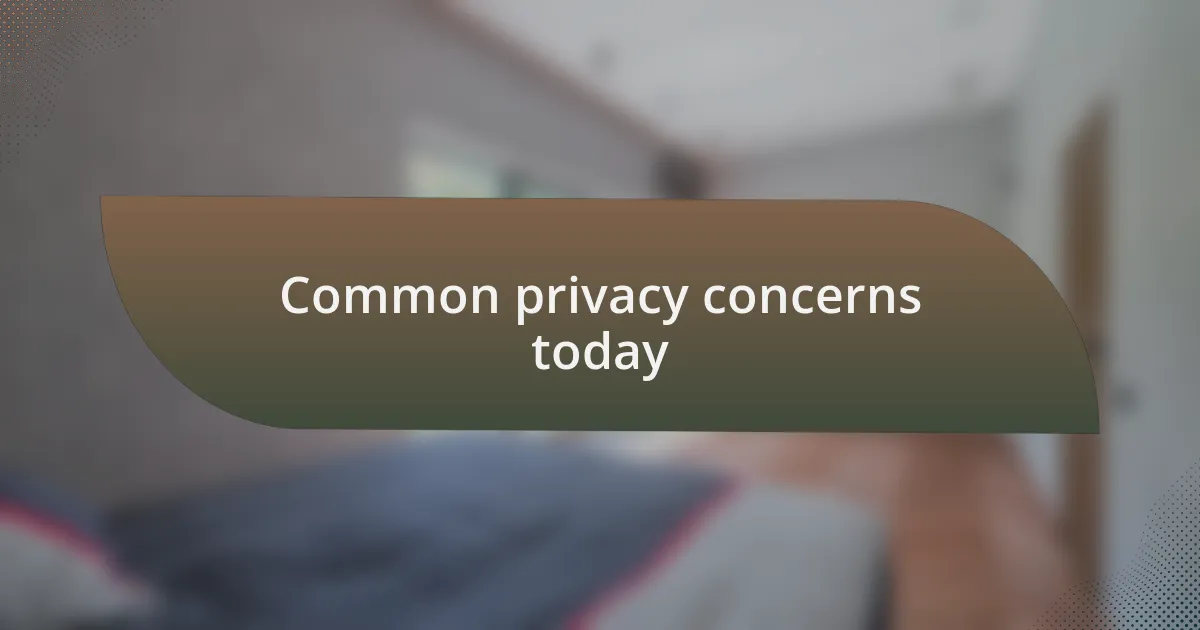 Common privacy concerns today