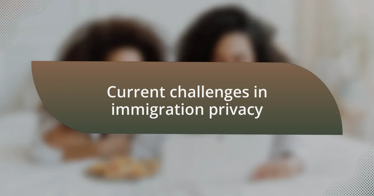 Current challenges in immigration privacy