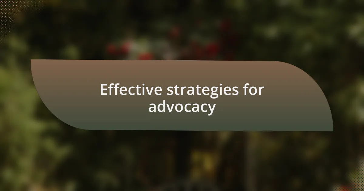 Effective strategies for advocacy