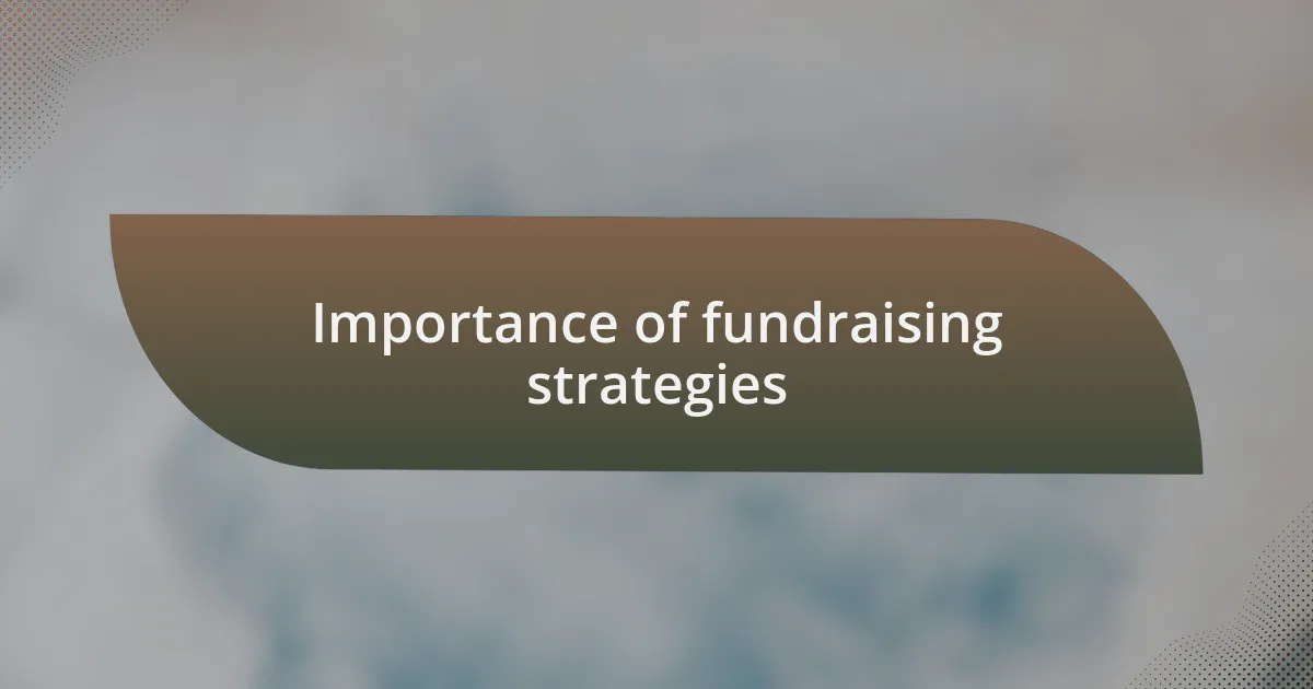 Importance of fundraising strategies