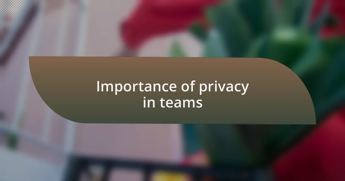 Importance of privacy in teams