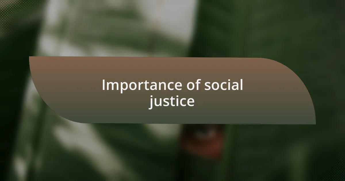 Importance of social justice