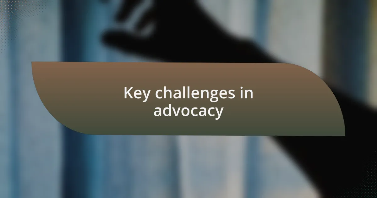 Key challenges in advocacy