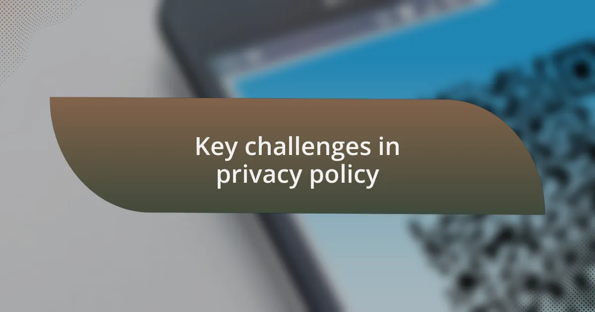 Key challenges in privacy policy