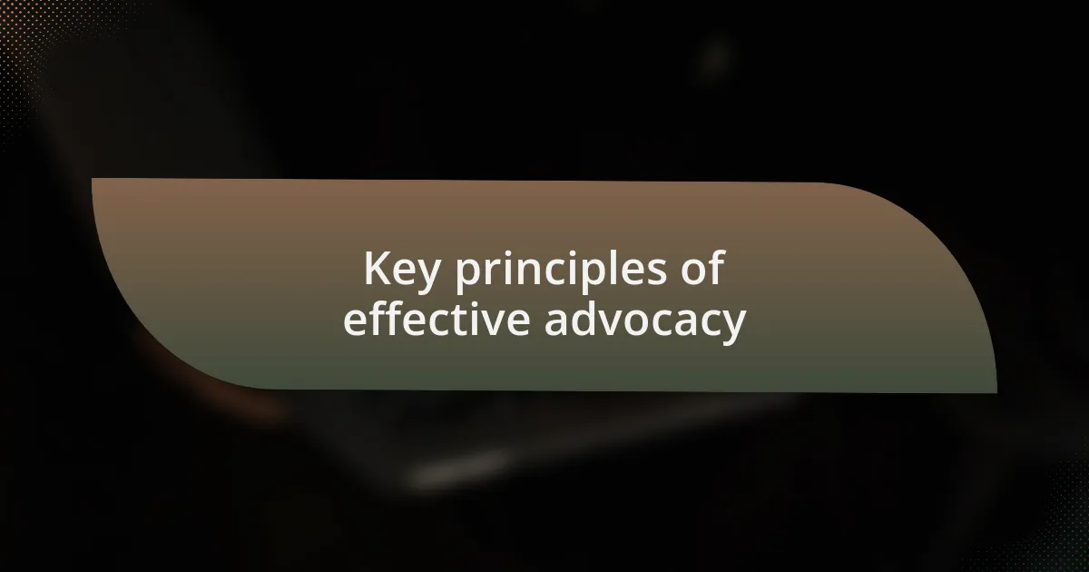 Key principles of effective advocacy