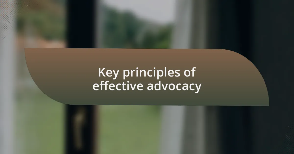 Key principles of effective advocacy