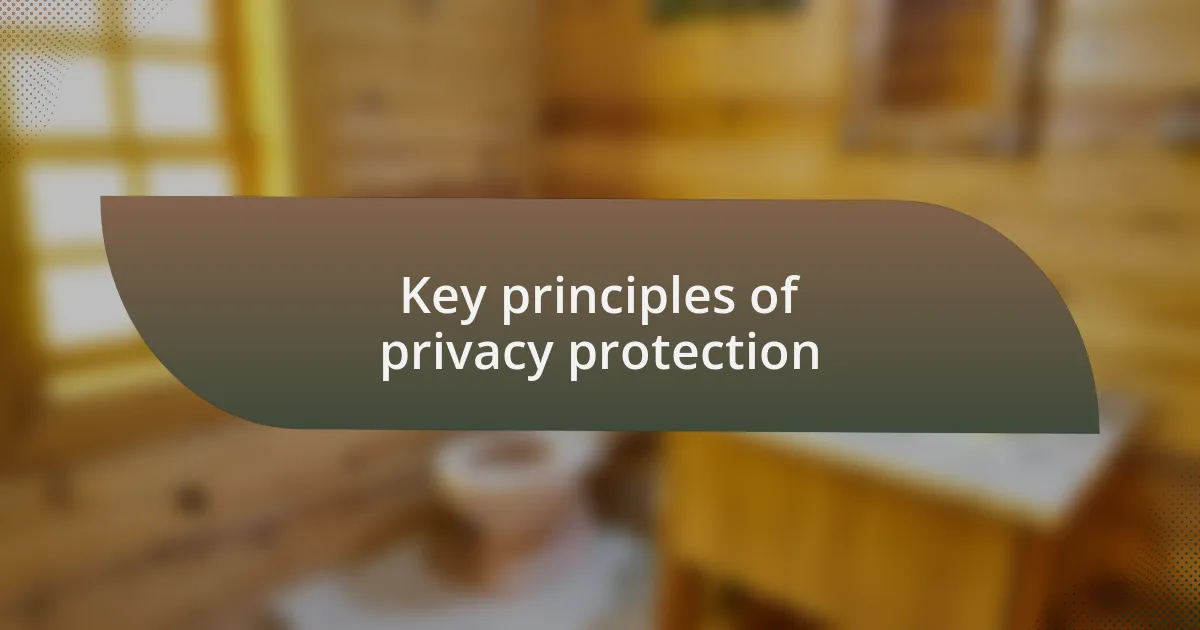 Key principles of privacy protection
