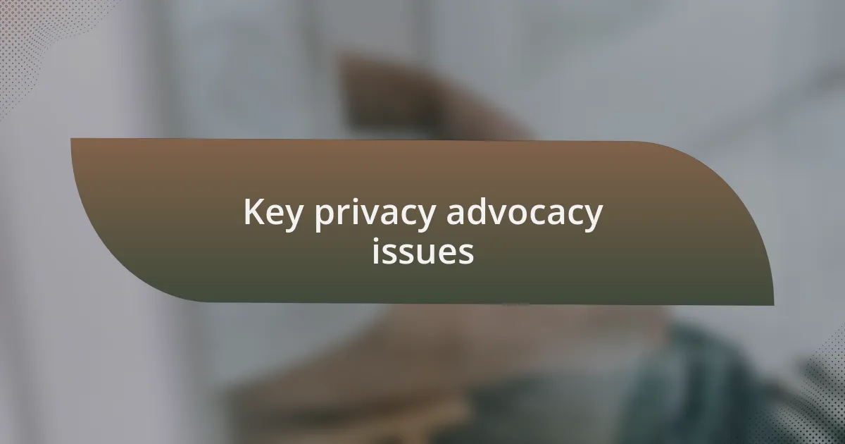 Key privacy advocacy issues