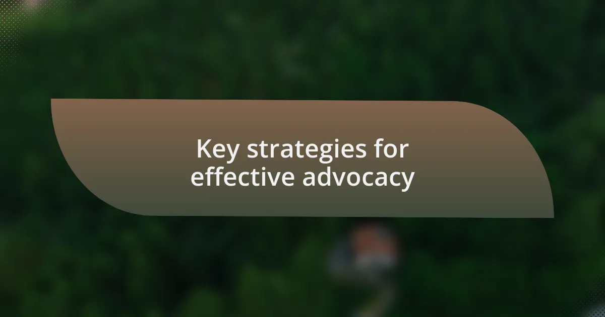 Key strategies for effective advocacy
