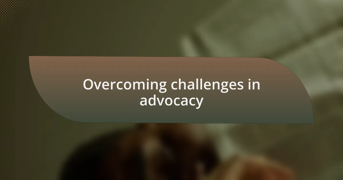 Overcoming challenges in advocacy