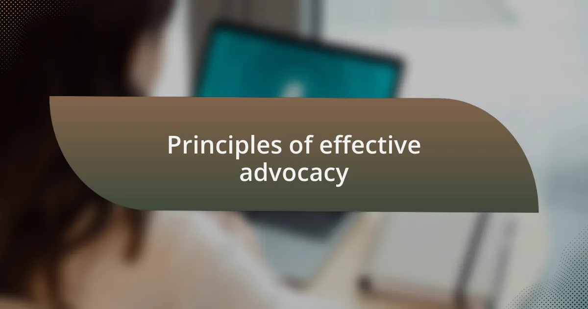 Principles of effective advocacy
