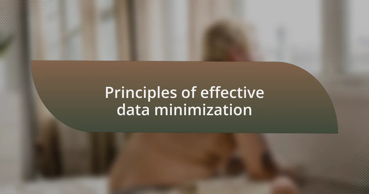 Principles of effective data minimization