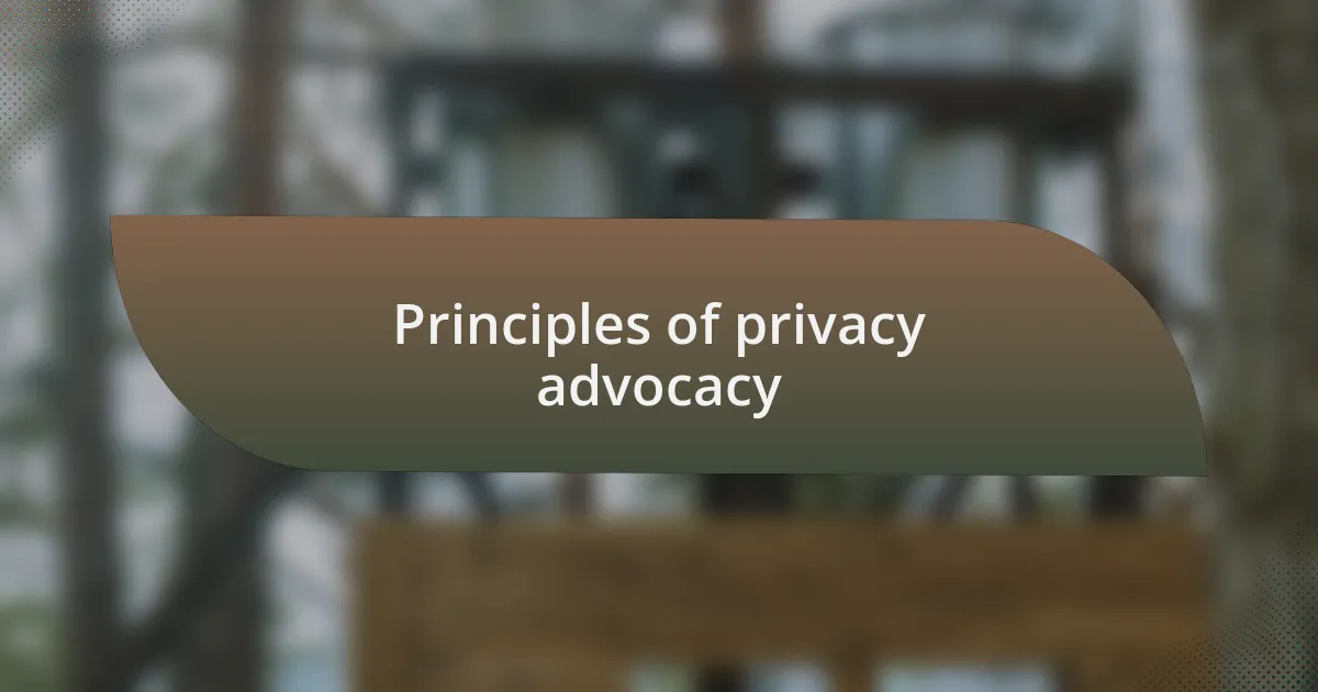 Principles of privacy advocacy