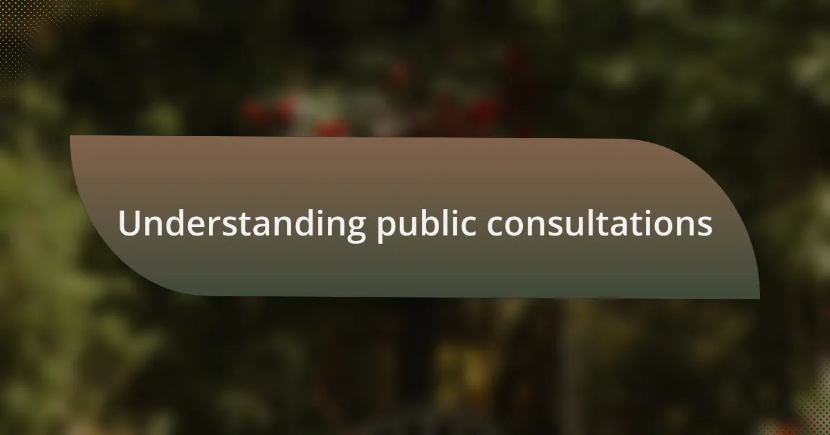 Understanding public consultations