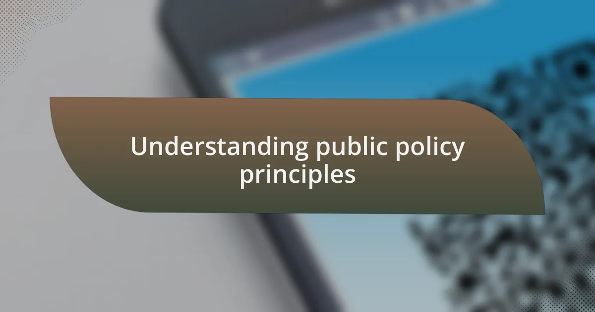 Understanding public policy principles