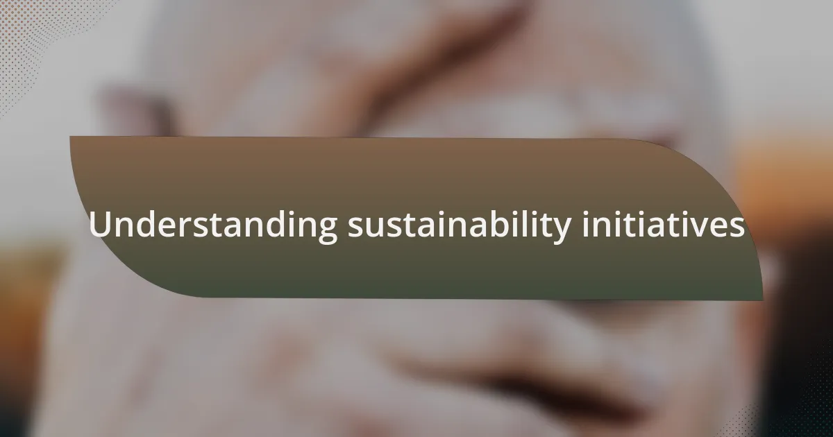 Understanding sustainability initiatives